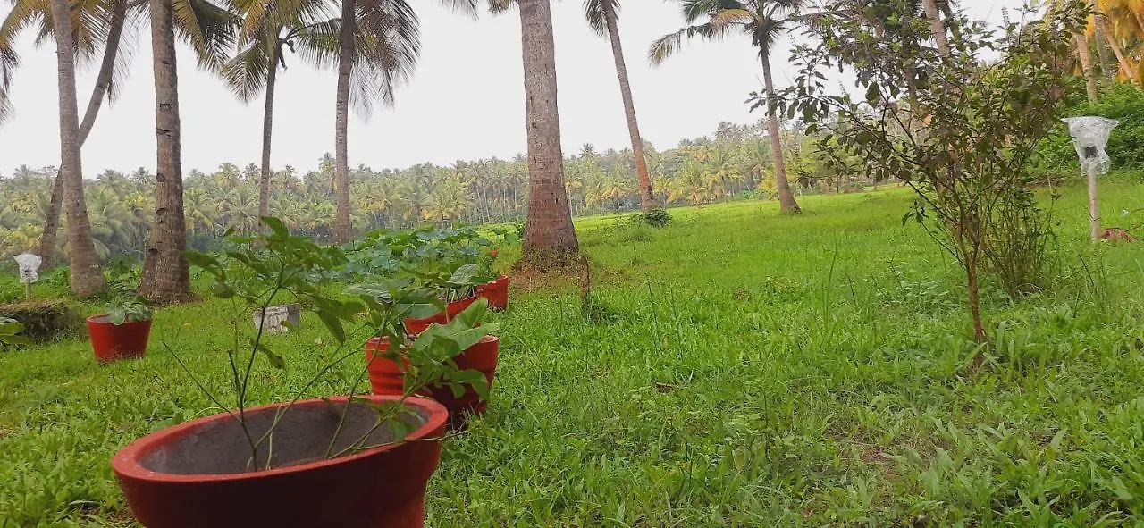 Ayra Beach Resort Varkala India